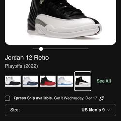 Jordan Playoff 12s 