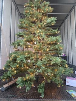 The Tree Company Christmas Trees Included With Light Artificial Tree
