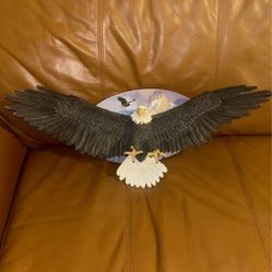 Cool Eagle Plaque