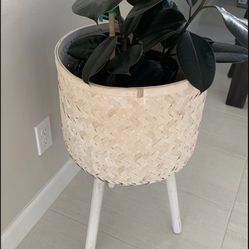 Planter Stand