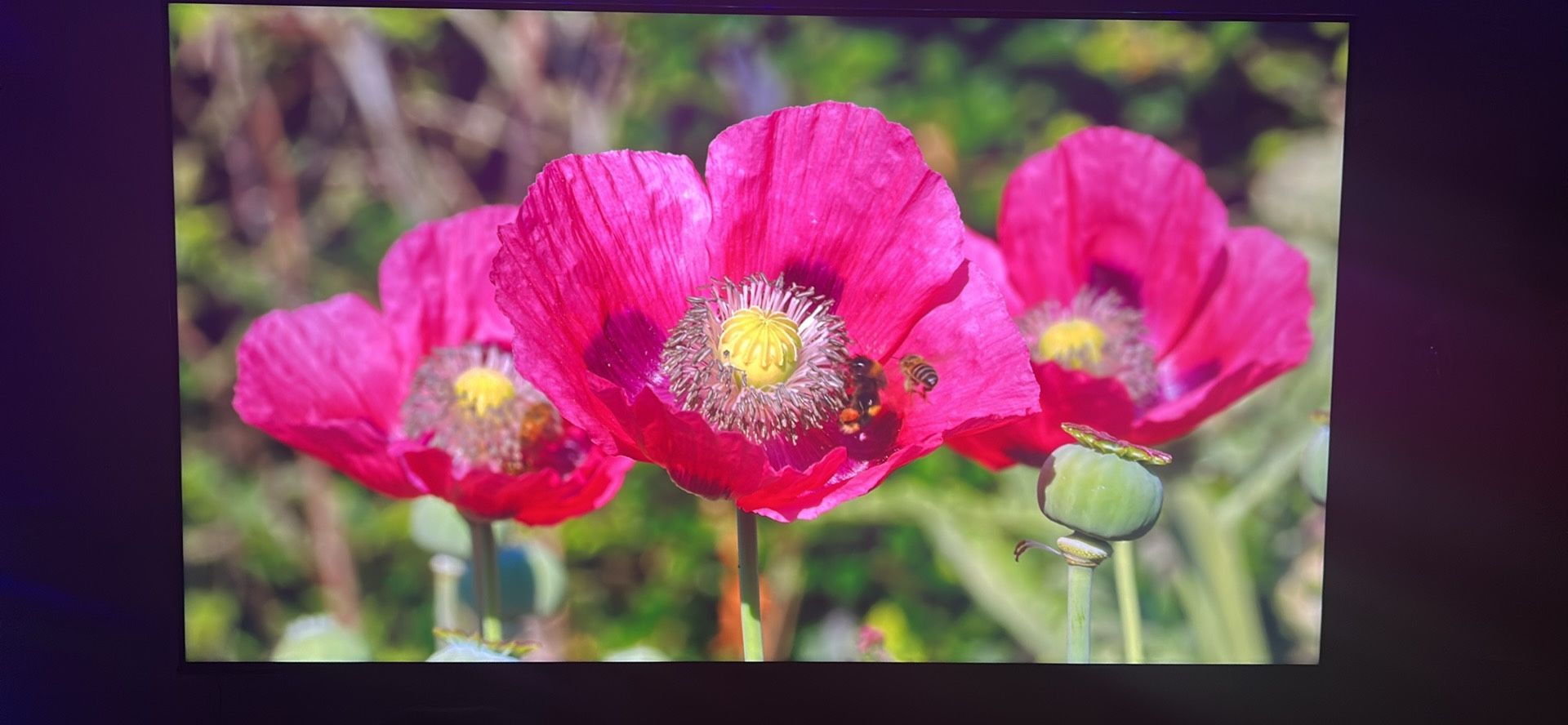 75 Inch Hisense Google Smart Tv U6 Edition