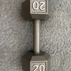 20lbs Cast iron dumbbell single