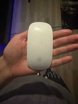 Magic Apple Mouse (white)