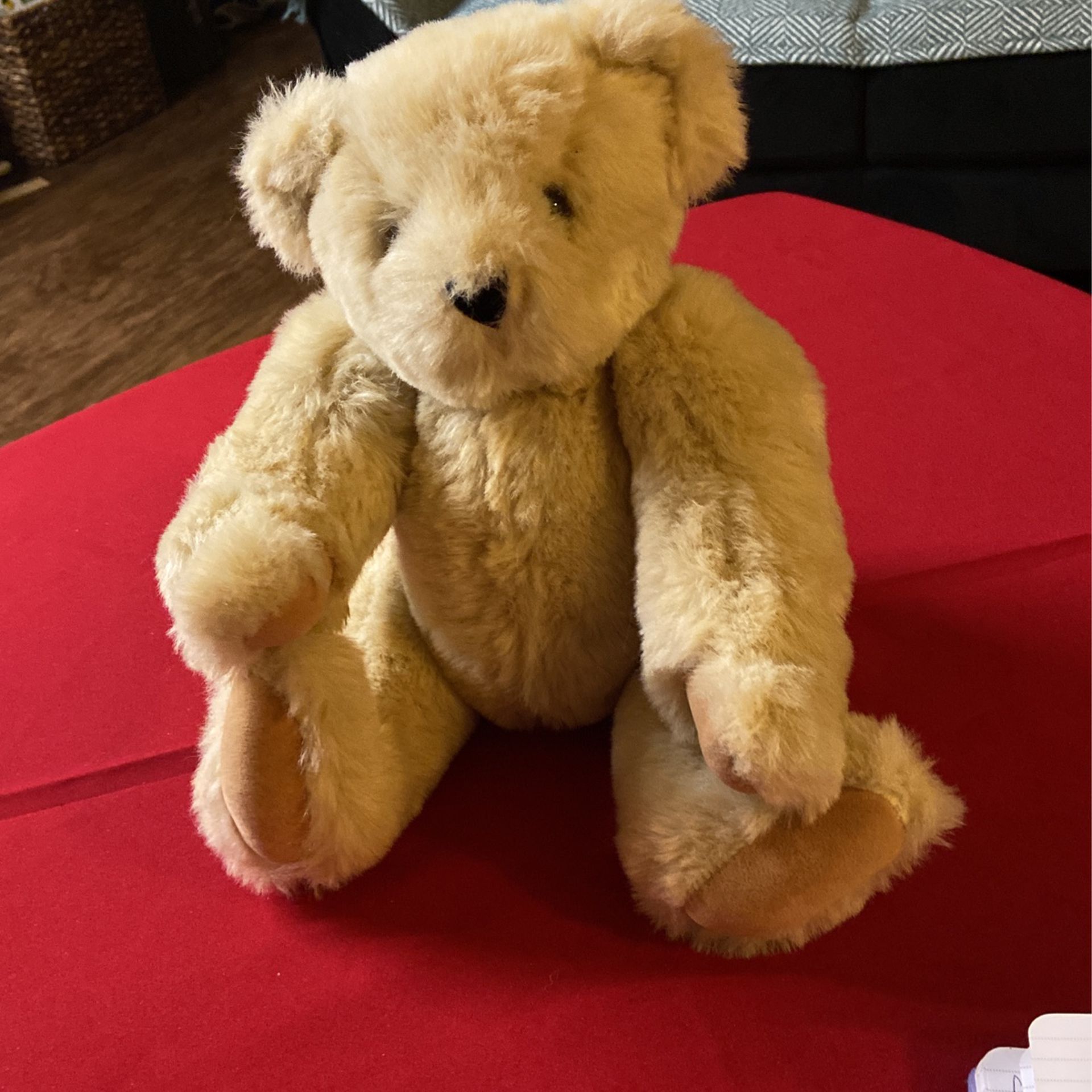 Teddy Bear , Vermont, Cream, 15”