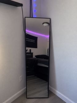 58x 16 full body mirror (READ DESCRIPTION)