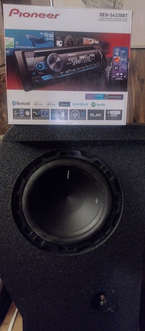 Pioneer Radio  10  P1s Subwoofers 