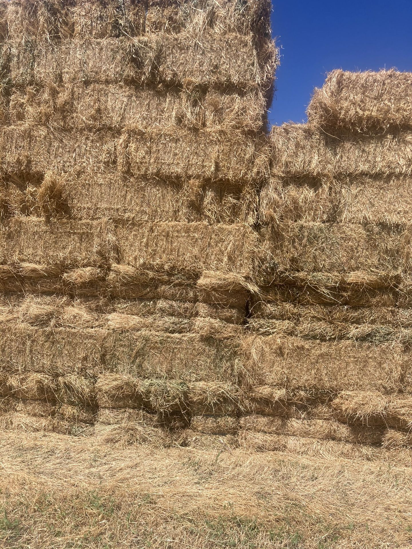 HAY FOR SALE