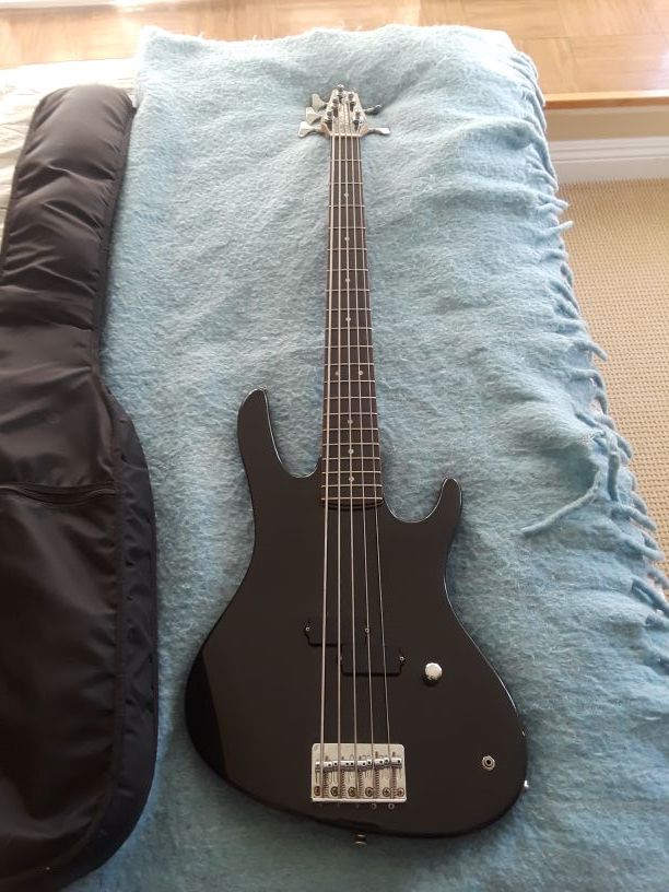 Washburn Bantam xb 105 5 string bass