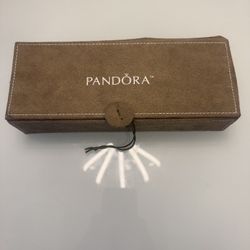 Pandora Charm Box Set
