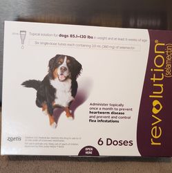 Flea and tick -Large Dog size