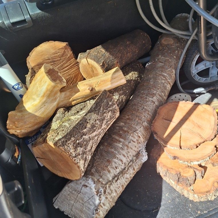 Natural Wood Logs And Slices Art, Wood Work,