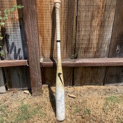 Nike Baseball Bat