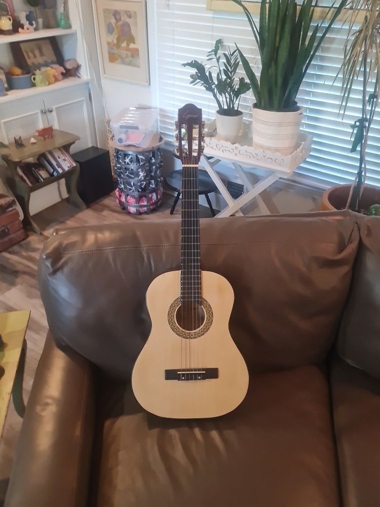 Acoustic Guitar