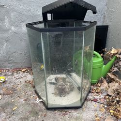 Hexagon Tank