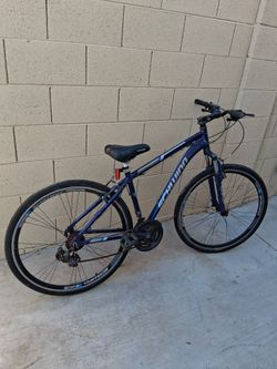 Schwinn bike