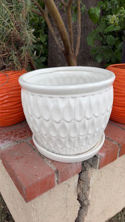 White ceramic pot