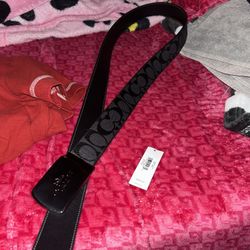 coach belt 