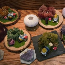 Holders For Air Plants / Notes / Photos / Cards