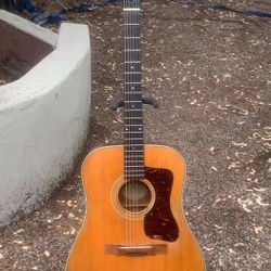 1967 Guild D40
