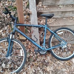 Good Bike 