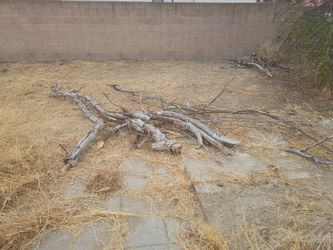 Free gratis firewood leña