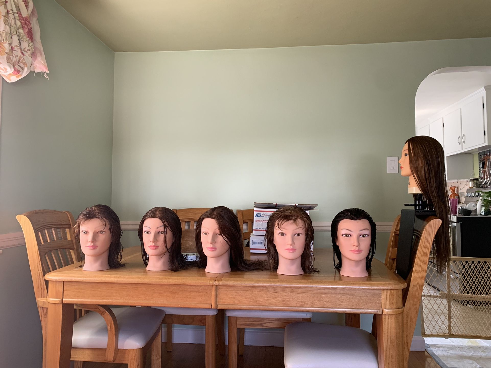 Cosmetology Practice Head / $20. @ Cash