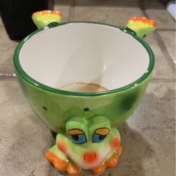 Adorable Frog Planter Pot With Spider Plant