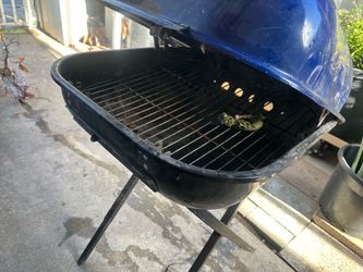 Amador