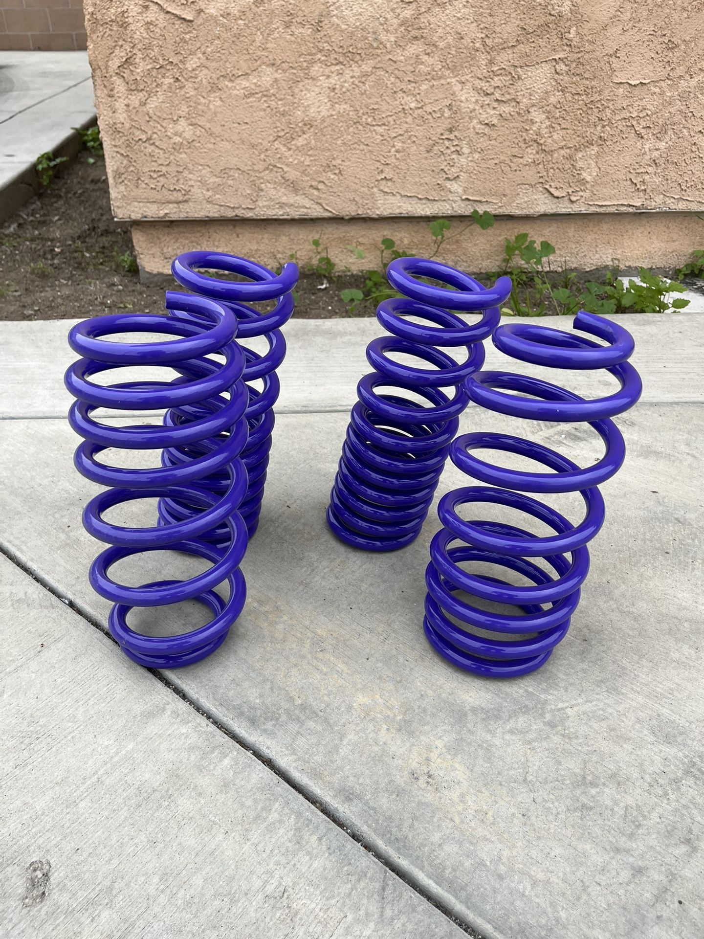 D2 Sport Lowering Springs