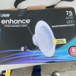 3-enhance vivid natural light 75 watts 