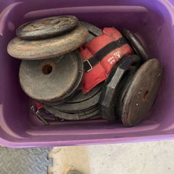 Weights 