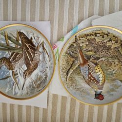 Collector PLATES