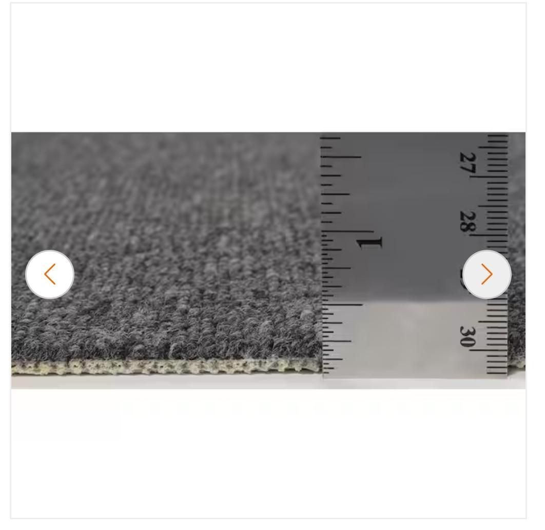 Home Depot Carpet (NEW)