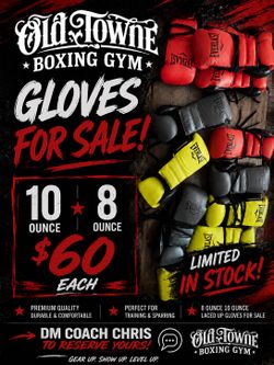 8 0z and 10 oz pro  boxing gloves