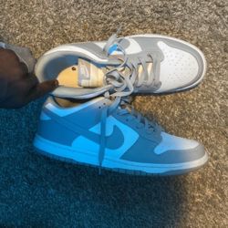 Dunks Size 10.5