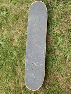 Skate Board