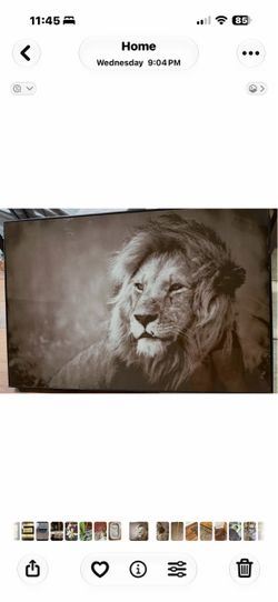 Beautiful framed black & white lion wall art