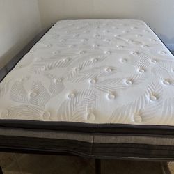 Queen Bed