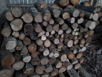 Oak,Pecan and mesquite