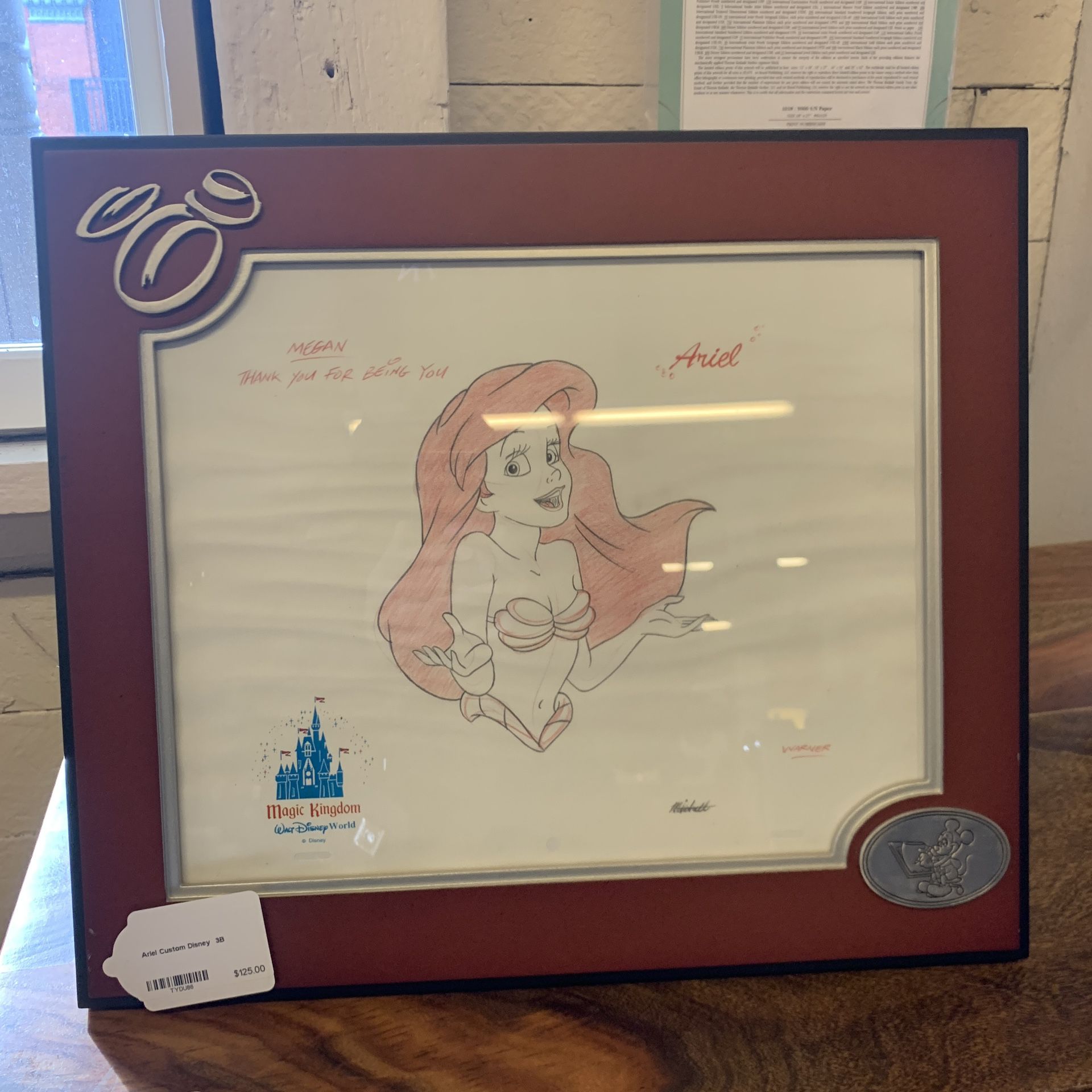 Ariel Custom Disney Art