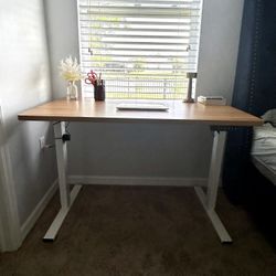Electric Standing Desk 48x30 - Adjustable Stand Up Desk 