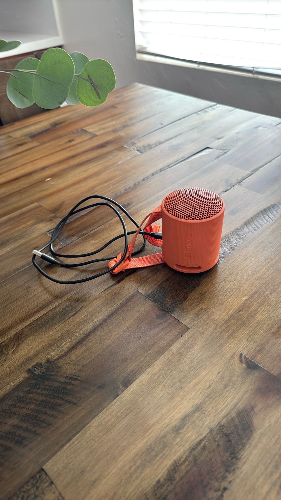 Sony XB100 Compact Bluetooth Speaker