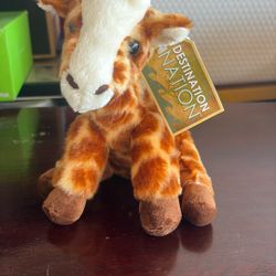 Cutest, Softest Giraffe