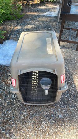 large dog crate