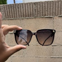 Designer Sunglasses 