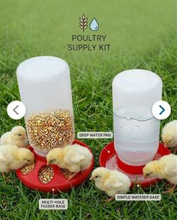 🌾 Ultimate No-Mess Poultry Feeder & Waterer Kit — Fits Chicks, Quail, Pigeons & Ducks!