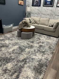 8x10” area rug