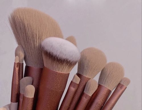 Makeup Brush Collection 