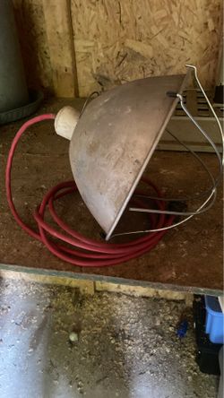 Heat lamp shield