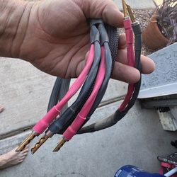 Signal Cables Ultra Bi Amp Signal Cables